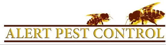 Bexhill Pest Control